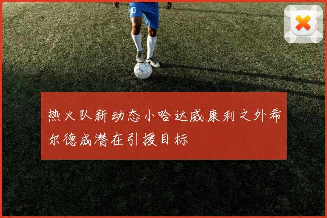 热火队新动态小哈达威康利之外希尔德成潜在引援目标