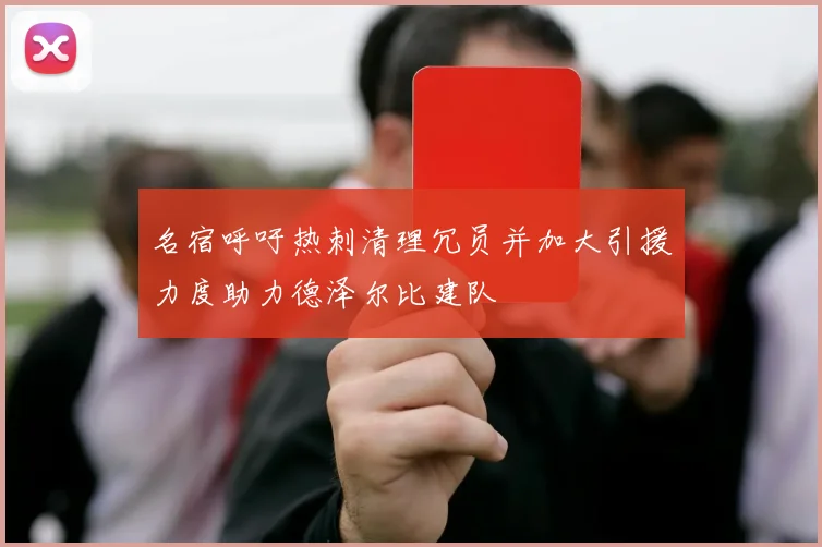 名宿呼吁热刺清理冗员并加大引援力度助力德泽尔比建队
