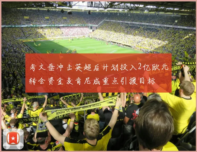 考文垂冲击英超后计划投入2亿欧元转会资金麦肯尼成重点引援目标