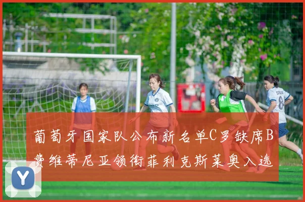 葡萄牙国家队公布新名单C罗缺席B费维蒂尼亚领衔菲利克斯莱奥入选
